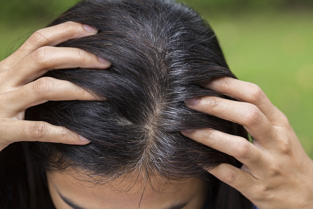 What To Do When You Spot Your First Gray Hairs